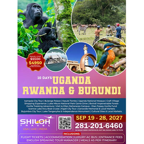 travel deals
